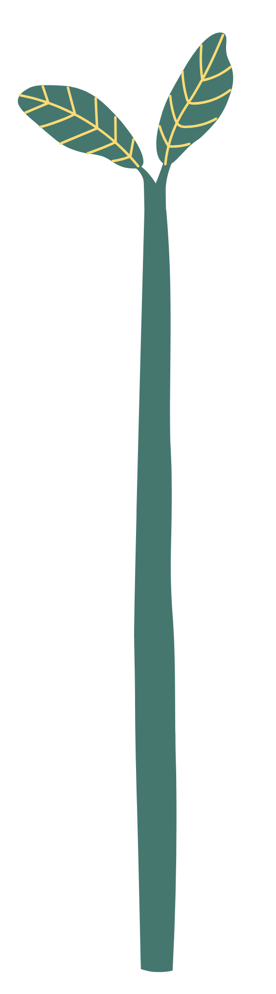 12 e1773329069548